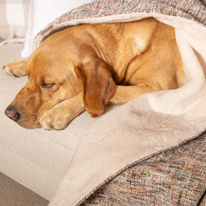 Dog & Puppy Blanket in Opal Minerals by Lords & Labradors