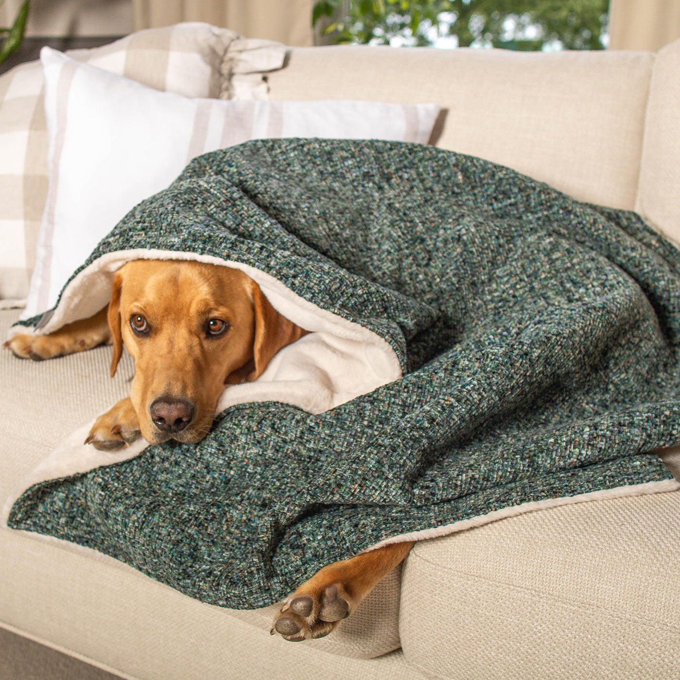 Dog & Puppy Blanket in Emerald Minerals by Lords & Labradors