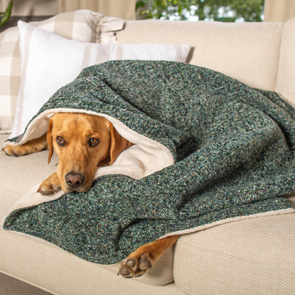Dog & Puppy Blanket in Emerald Minerals by Lords & Labradors