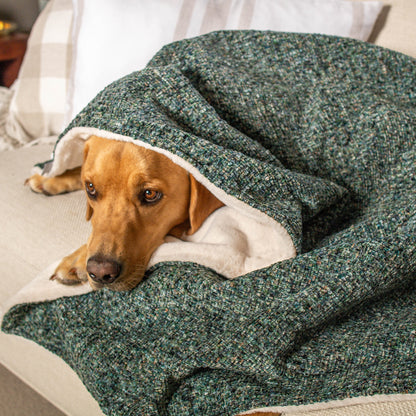 Dog & Puppy Blanket in Emerald Minerals by Lords & Labradors