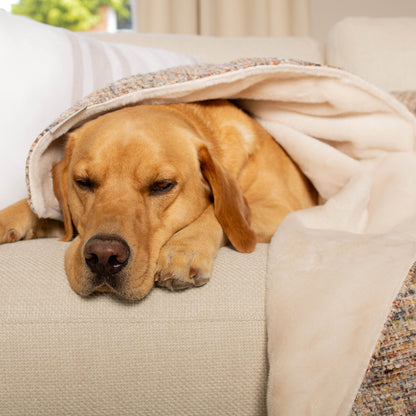 Dog & Puppy Blanket in Opal Minerals by Lords & Labradors