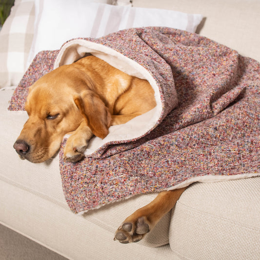 Dog & Puppy Blanket in Rose Quartz Minerals by Lords & Labradors