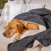 Dog & Puppy Blanket in Obsidian Minerals by Lords & Labradors