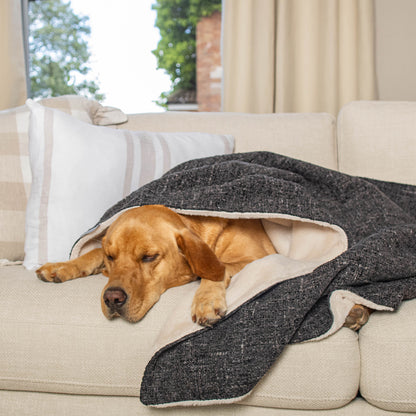 Dog & Puppy Blanket in Obsidian Minerals by Lords & Labradors