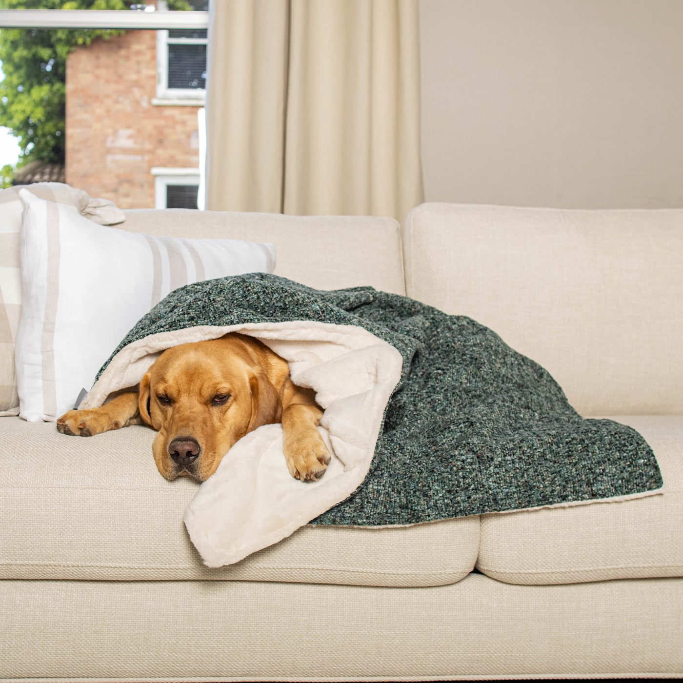 Dog & Puppy Blanket in Emerald Minerals by Lords & Labradors