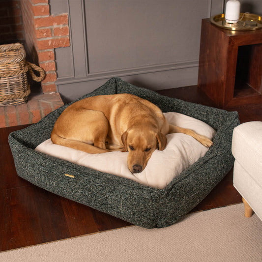 Box Bed With Removable Cover in Emerald Minerals by Lords & Labradors