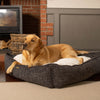 Box Bed With Removable Cover in Obsidian Minerals by Lords & Labradors