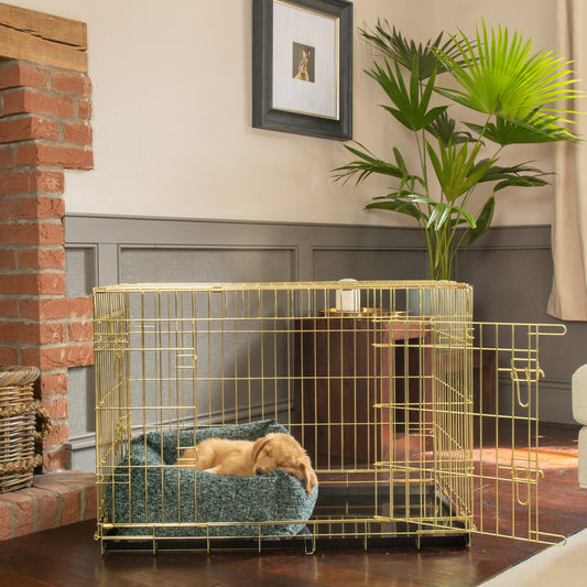 Dog Crate with Cosy & Calming Puppy Crate Bed in Emerald Minerals by Lords & Labradors