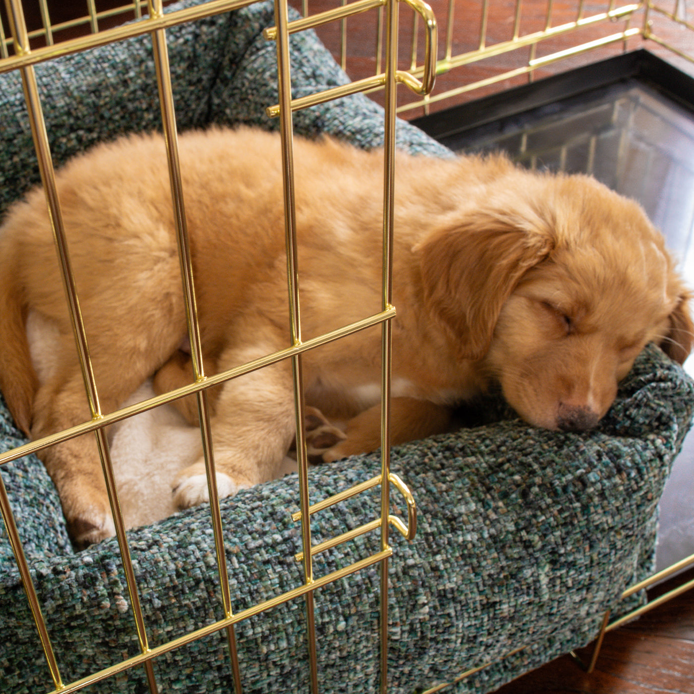 Cosy & Calming Puppy Crate Bed With Removable Covers In Emerald Minerals by Lords & Labradors