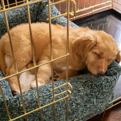 Cosy & Calming Puppy Crate Bed With Removable Covers In Emerald Minerals by Lords & Labradors