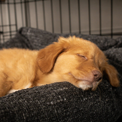 Cosy & Calming Puppy Crate Bed With Removable Covers In Obsidian Minerals by Lords & Labradors