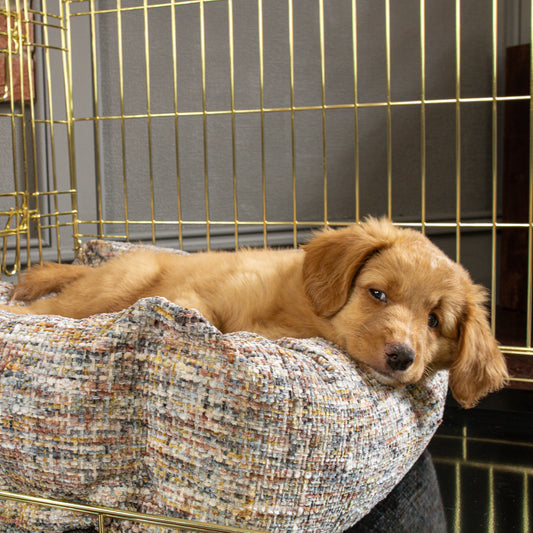 Cosy & Calming Puppy Crate Bed With Removable Covers In Opal Minerals by Lords & Labradors