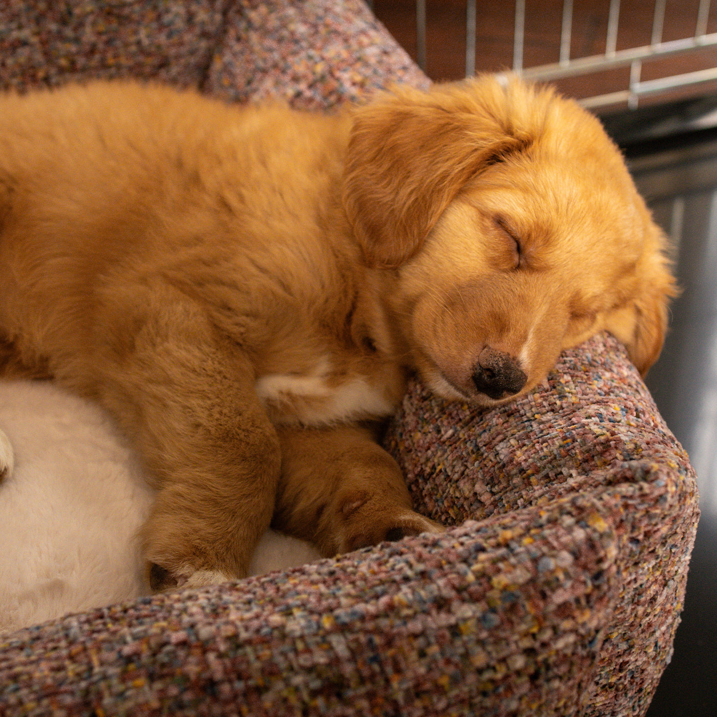 Cosy & Calming Puppy Crate Bed With Removable Covers In Rose Quartz Minerals by Lords & Labradors