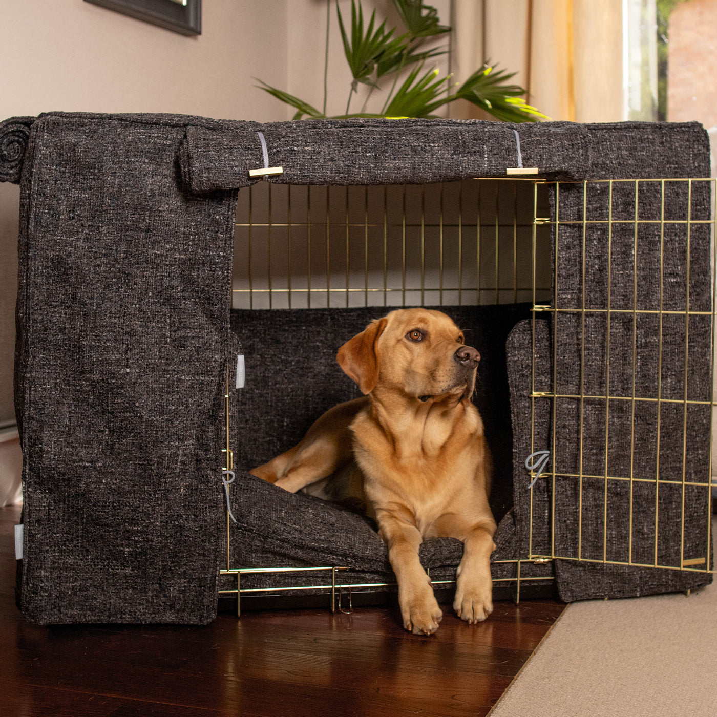 Dog Crate Set In Obsidian Minerals by Lords & Labradors