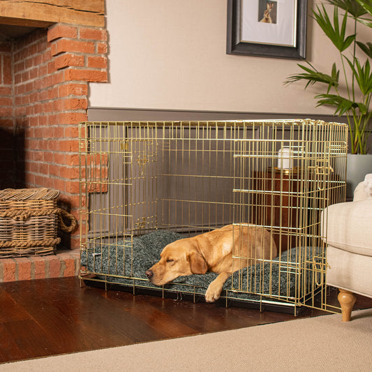 Dog Cushion in Emerald Minerals by Lords & Labradors