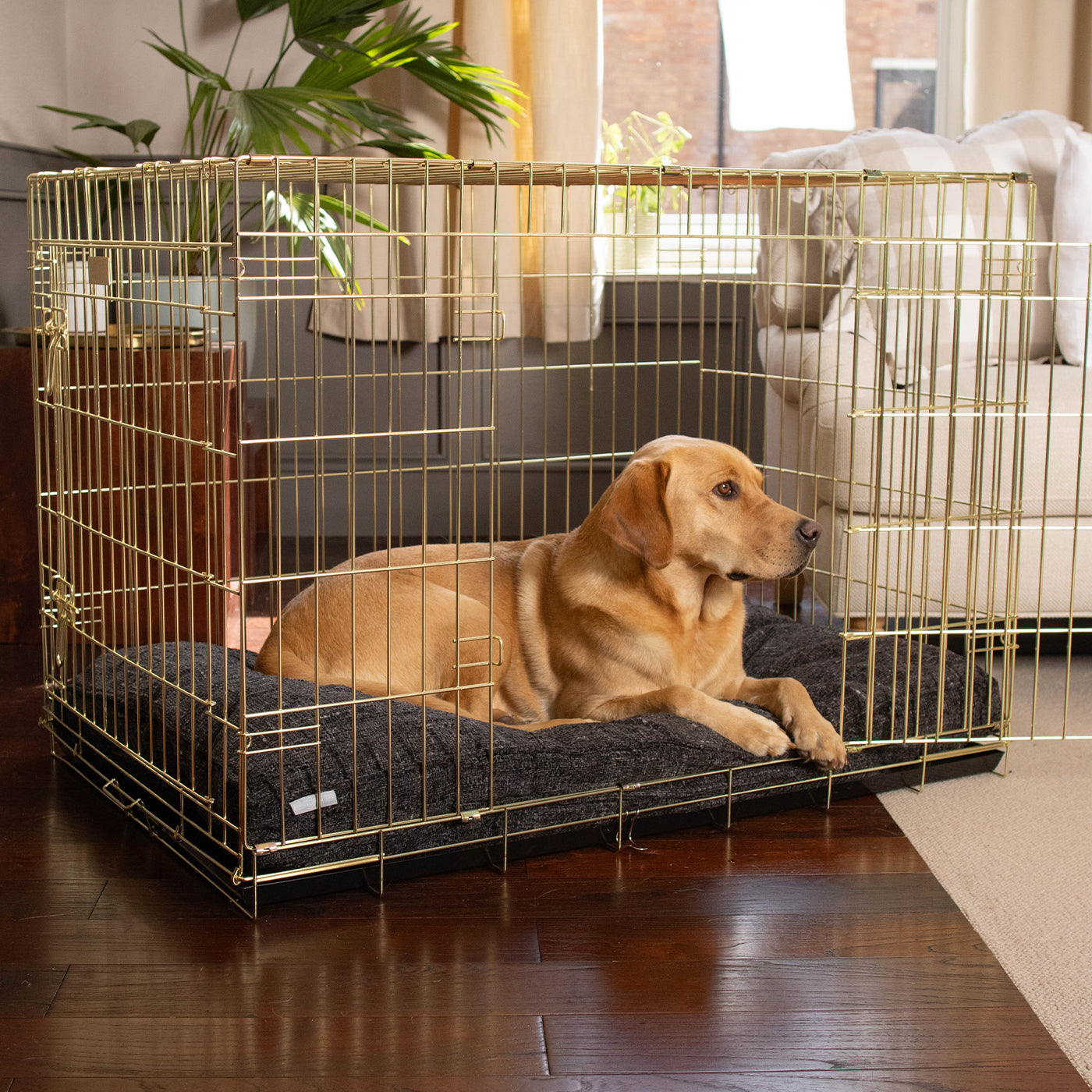 Dog Cushion in Obsidian Minerals by Lords & Labradors