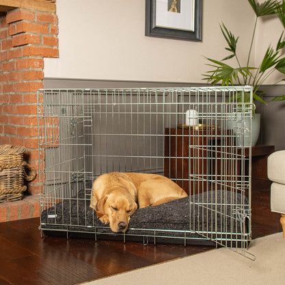 Dog Cushion in Obsidian Minerals by Lords & Labradors