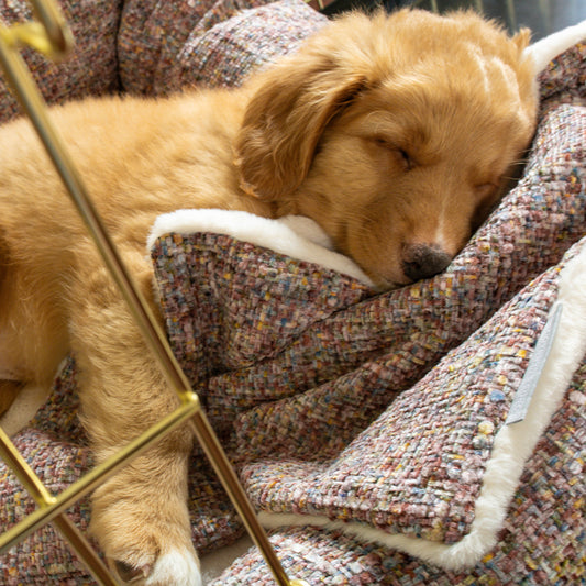 Puppy Scent Blanket in Rose Quartz Minerals by Lords & Labradors
