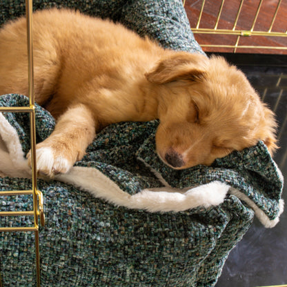 Puppy Scent Blanket in Emerald Minerals by Lords & Labradors