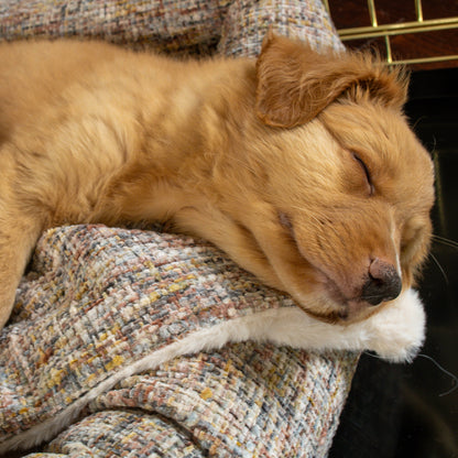 Puppy Scent Blanket in Opal Minerals by Lords & Labradors