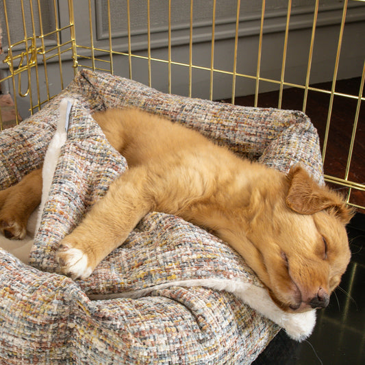 Puppy Scent Blanket in Opal Minerals by Lords & Labradors