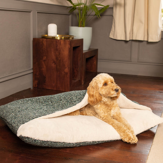 Sleepy Burrows Bed With Removable Cover In Emerald Minerals by Lords & Labradors