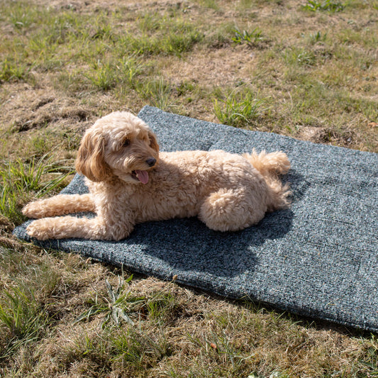 Travel Mat In Emerald Minerals by Lords & Labradors