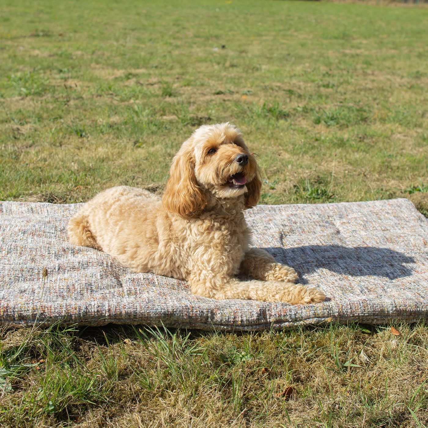 Travel Mat In Opal Minerals by Lords & Labradors