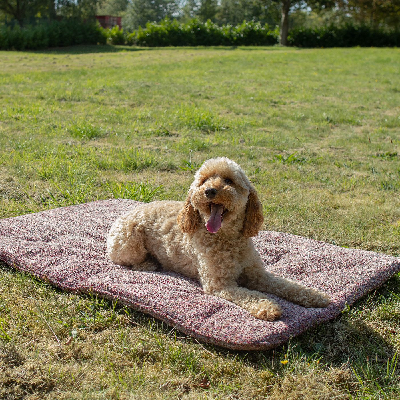 Travel Mat In Rose Quartz Minerals by Lords & Labradors