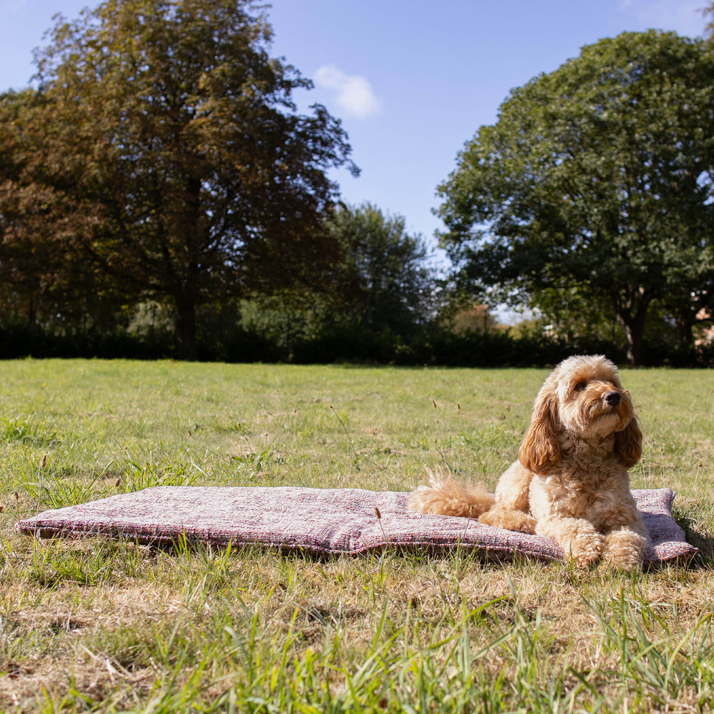Travel Mat In Rose Quartz Minerals by Lords & Labradors