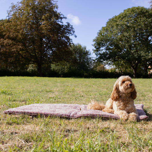 Travel Mat In Rose Quartz Minerals by Lords & Labradors