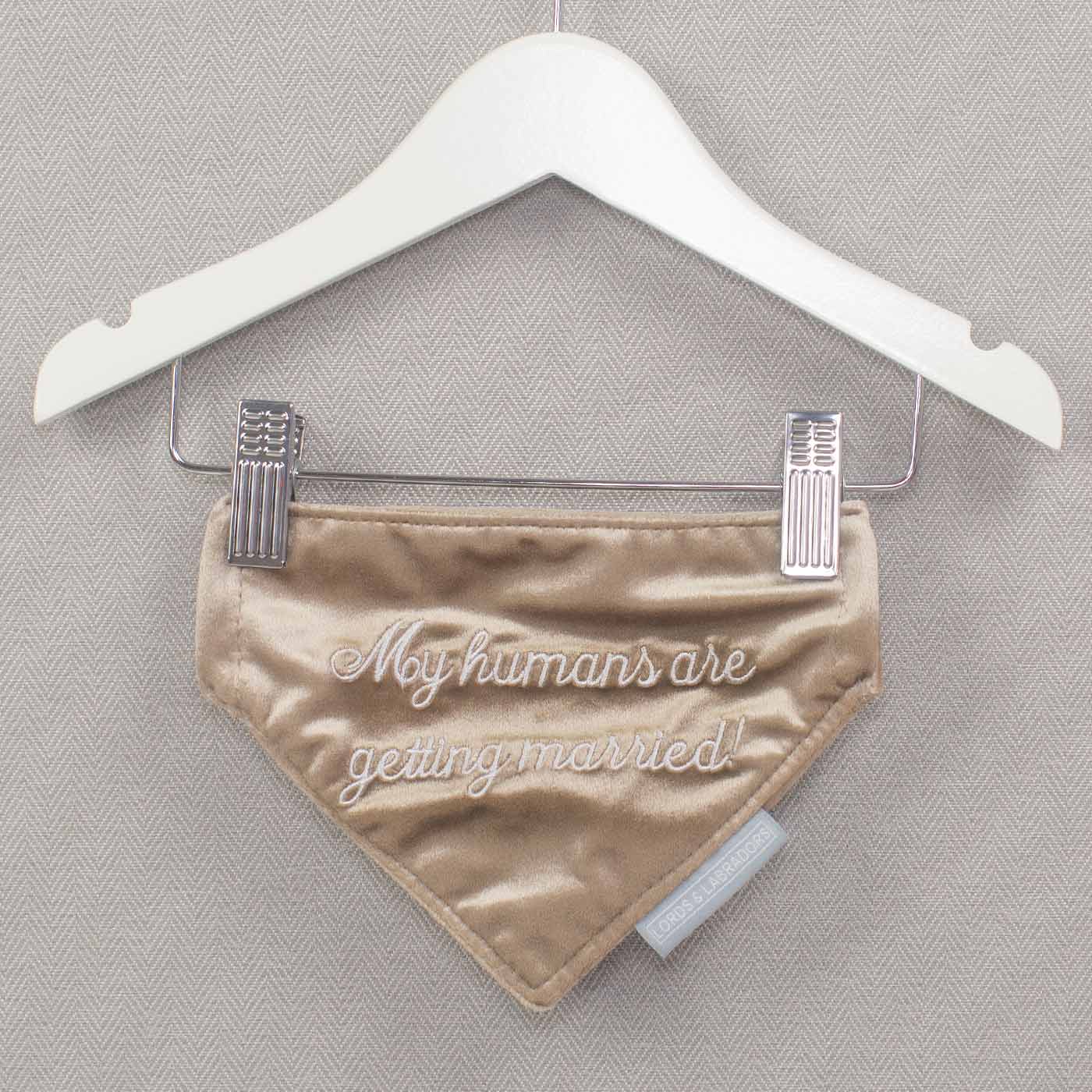 'My Humans Are Getting Married' Bandana in Cranberry Velvet by Lords & Labradors