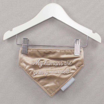 'My Humans Are Getting Married' Bandana in Cranberry Velvet by Lords & Labradors