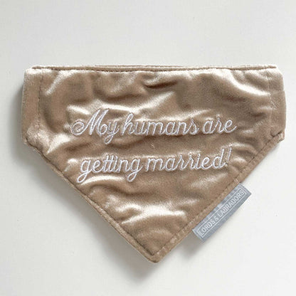 'My Humans Are Getting Married' Bandana in Cranberry Velvet by Lords & Labradors