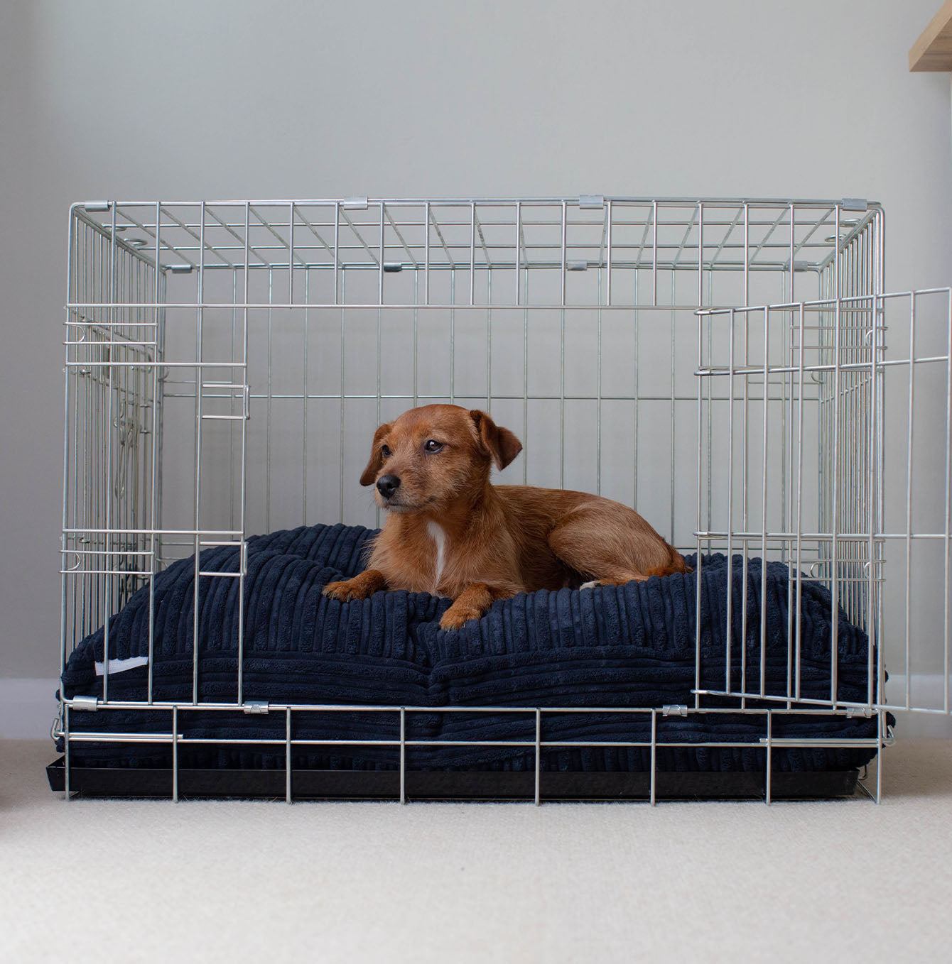 Luxury Dog Crate Cushion, Essentials Plush Cushion in Navy! The Perfect Dog Crate Accessory, Available To Personalise Now at Lords & Labradors
