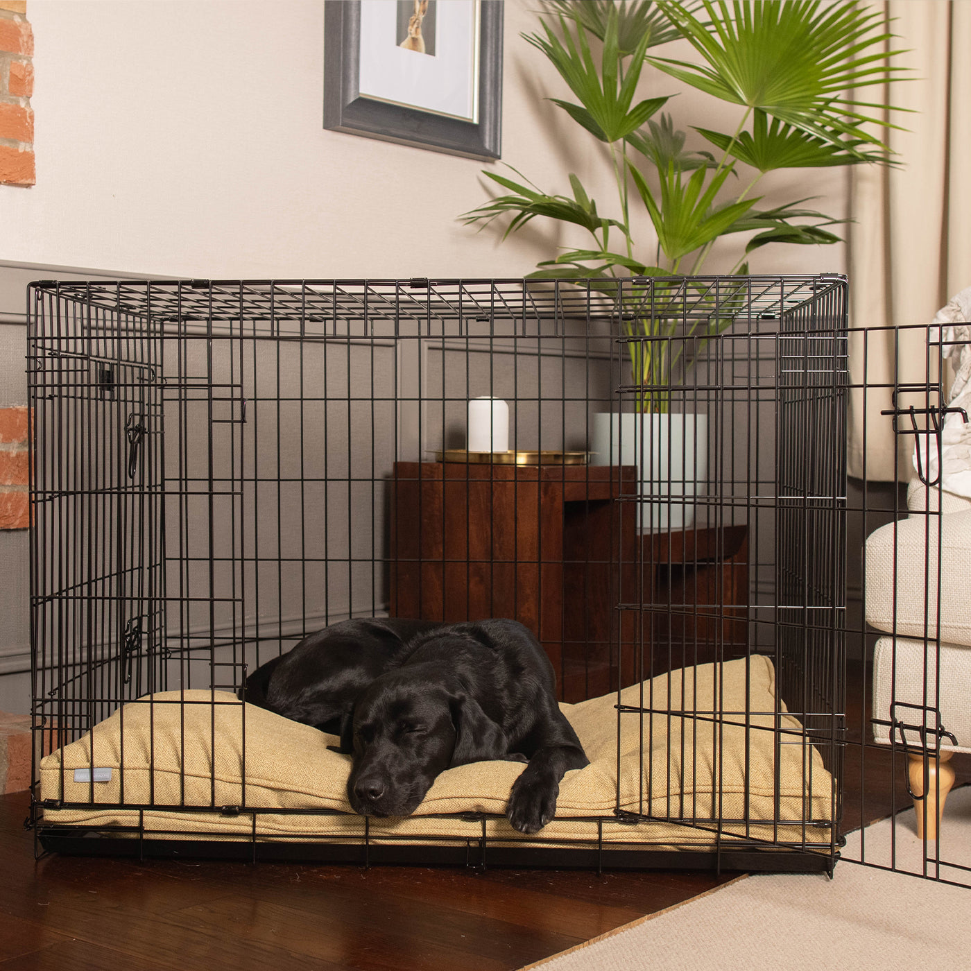 Dog Cushion in Honeysuckle Orkney Tweed by Lords & Labradors