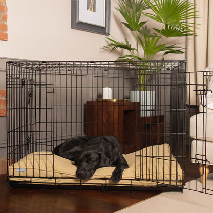 Dog Cushion in Honeysuckle Orkney Tweed by Lords & Labradors