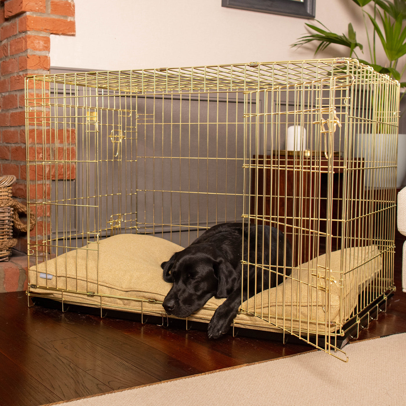 Dog Cushion in Honeysuckle Orkney Tweed by Lords & Labradors