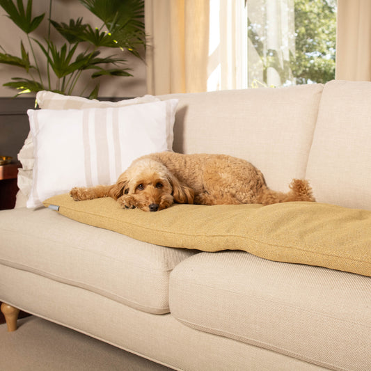 Sofa Topper in Honeysuckle Orkney Tweed by Lords & Labradors