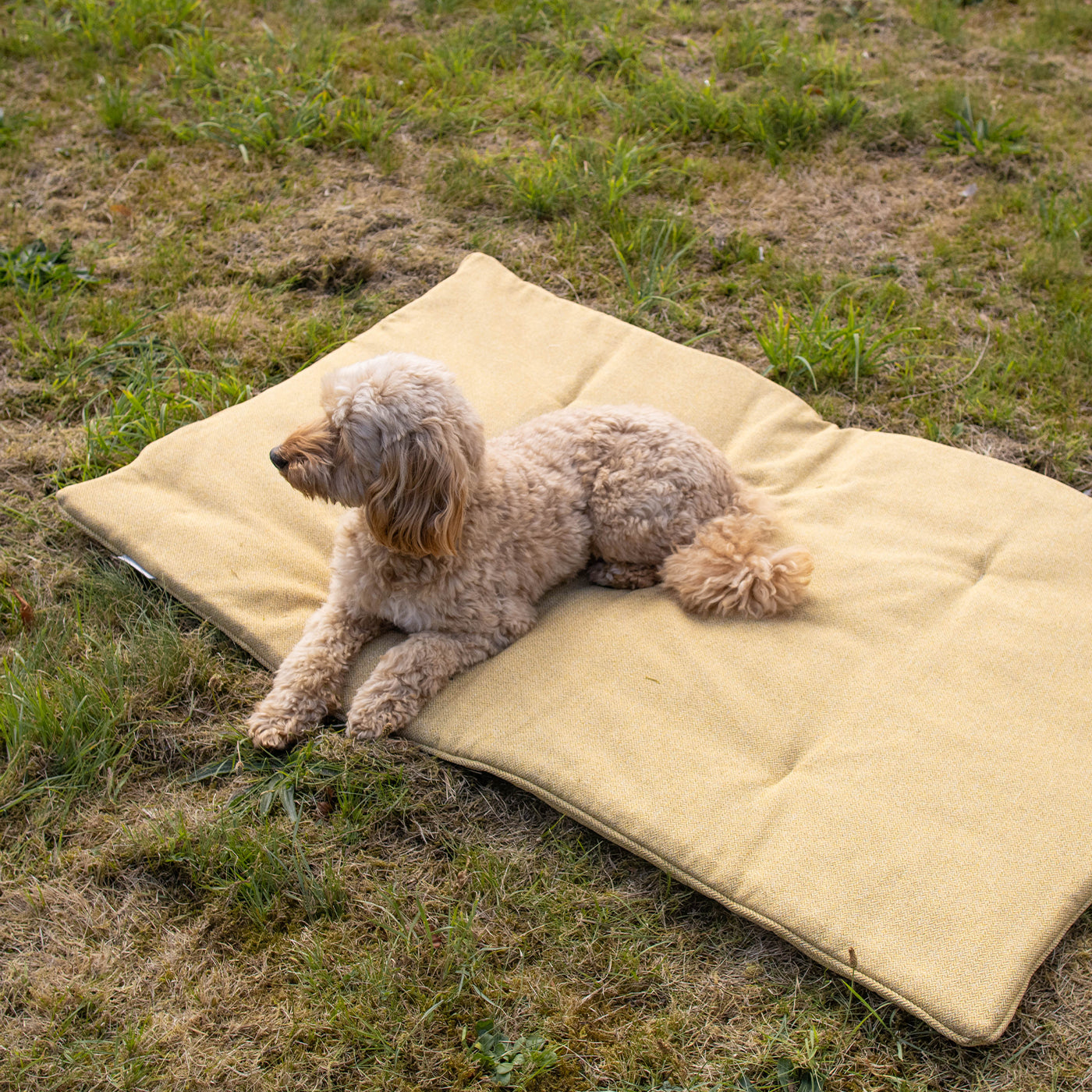Travel Mat In Honeysuckle Orkney Tweed by Lords & Labradors
