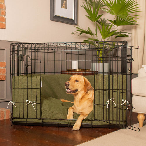 Dog Crate Bumper in Moss Orkney Tweed by Lords & Labradors
