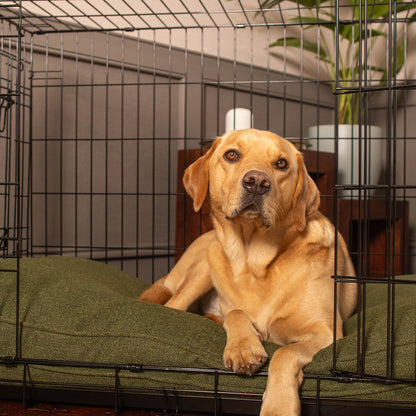 Dog Cushion in Moss Orkney Tweed by Lords & Labradors