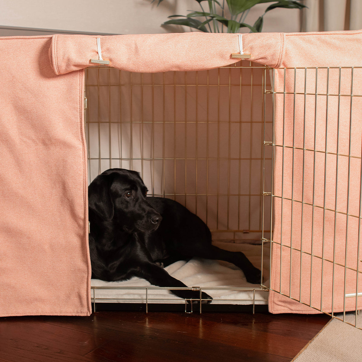 Dog Crate & Moss Peony Tweed Crate Cover | Dog Crate | Lords & Labradors