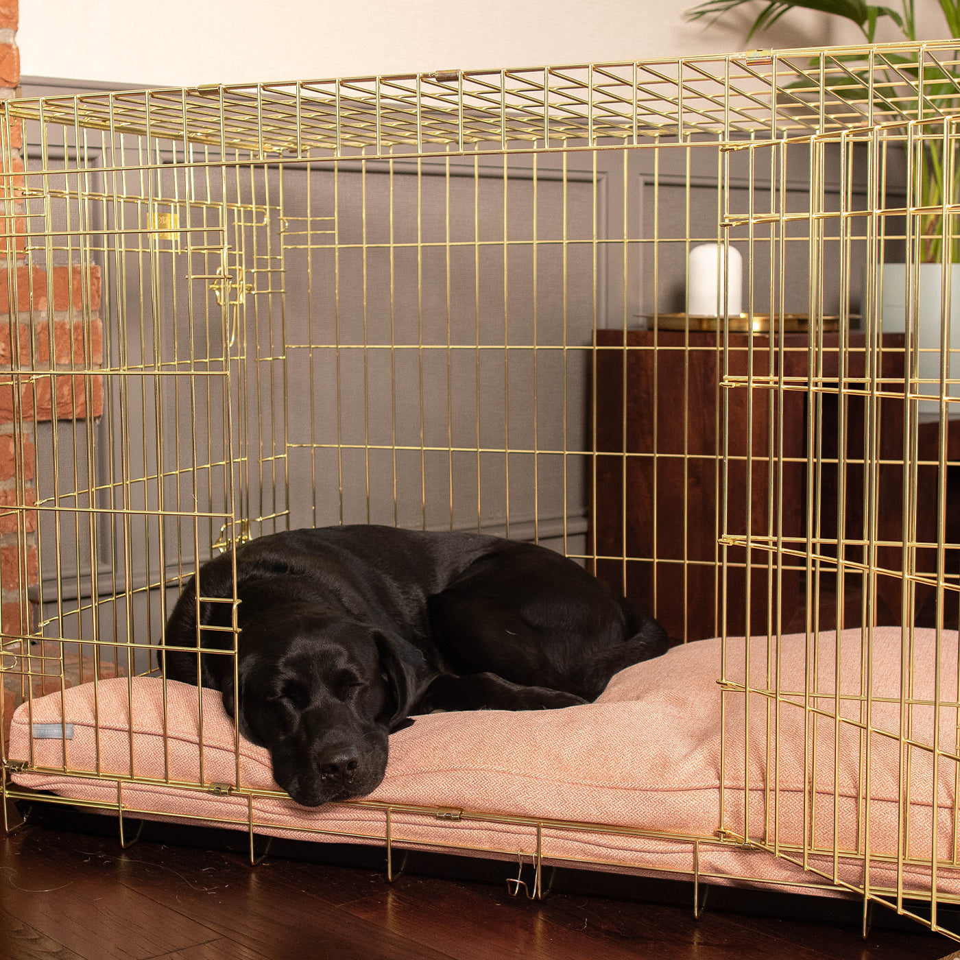 Dog Cushion in Peony Orkney Tweed by Lords & Labradors