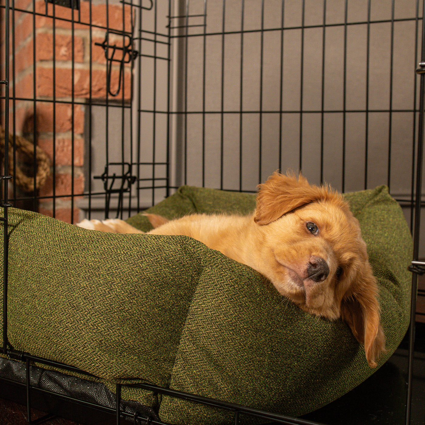 Cosy & Calming Puppy Crate Bed With Removable Covers In Moss Orkney Tweed by Lords & Labradors