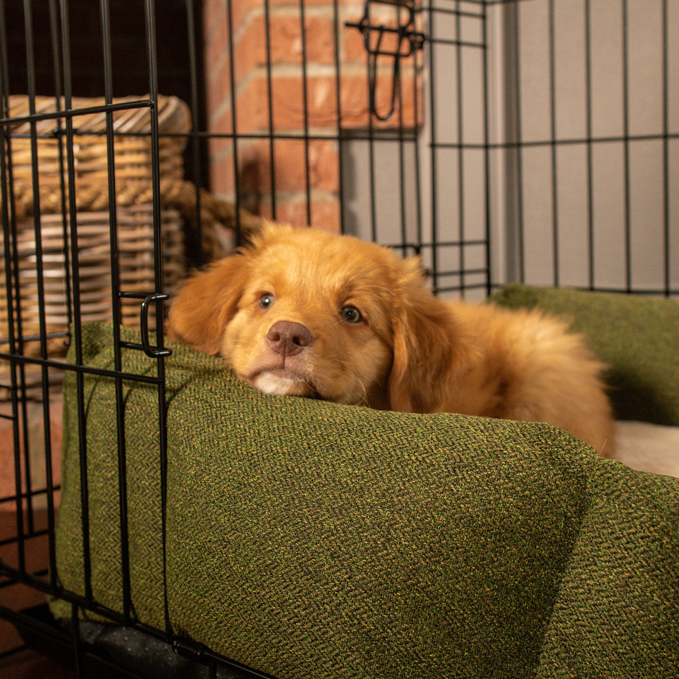 Cosy & Calming Puppy Crate Bed With Removable Covers In Moss Orkney Tweed by Lords & Labradors
