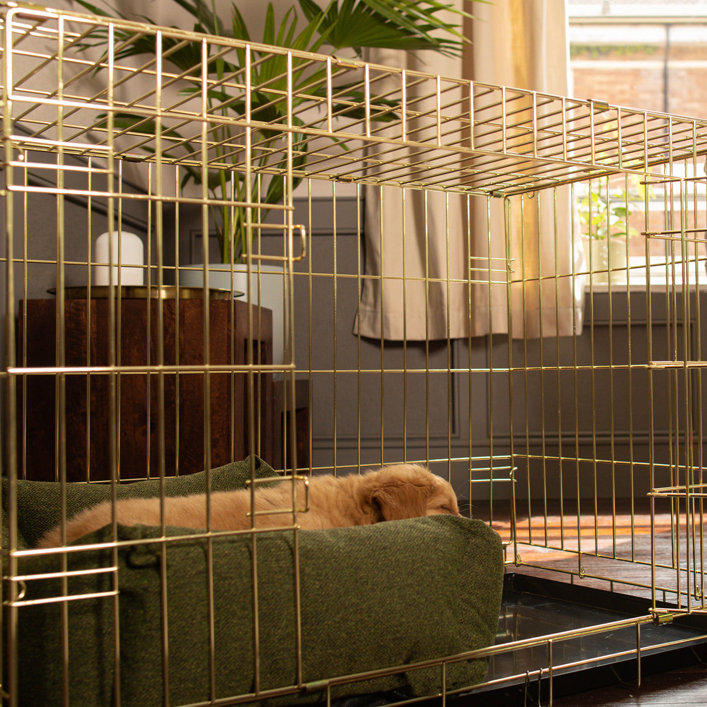 Dog Crate with Cosy & Calming Puppy Crate Bed in Moss Orkney Tweed by Lords & Labradors