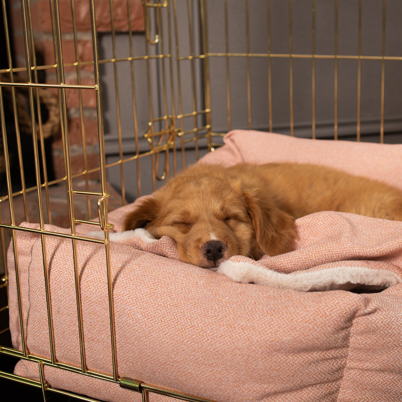 Cosy & Calming Puppy Crate Bed With Removable Covers In Peony Orkney Tweed by Lords & Labradors