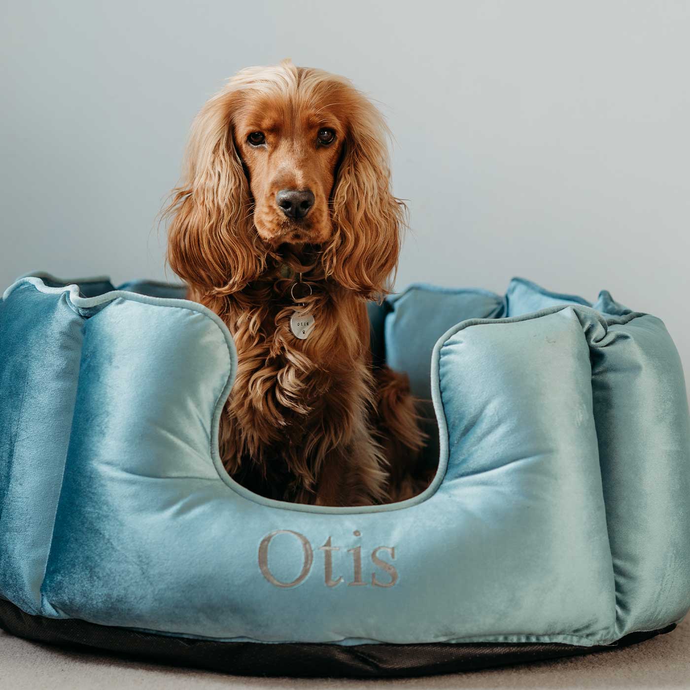 Discover Our Luxurious High Wall Bed For Dogs, Featuring inner pillow with plush teddy fleece on one side To Craft The Perfect Dogs Bed In Stunning Duck Egg Velvet! Available To Personalise Now at Lords & Labradors    