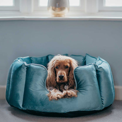 Discover Our Luxurious High Wall Bed For Dogs, Featuring inner pillow with plush teddy fleece on one side To Craft The Perfect Dogs Bed In Stunning Duck Egg Velvet! Available To Personalise Now at Lords & Labradors    